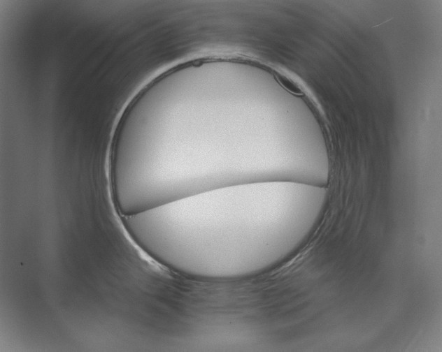 X0000074001343200609061014