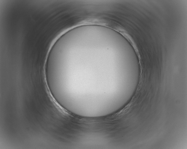 X0000074001344200609061014