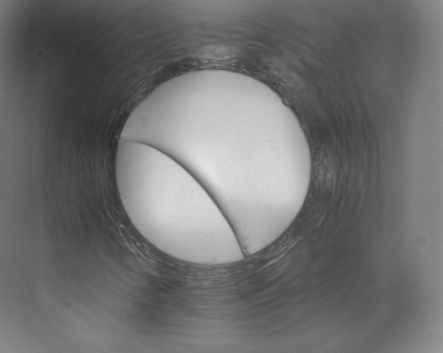 X0000074001346200609061013