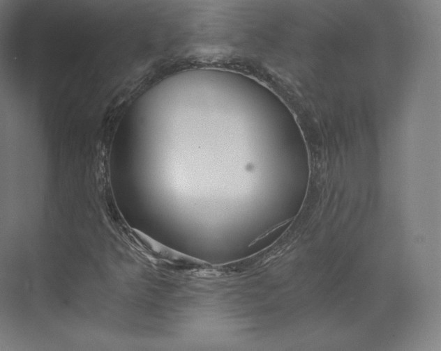 X0000074001349200609061013