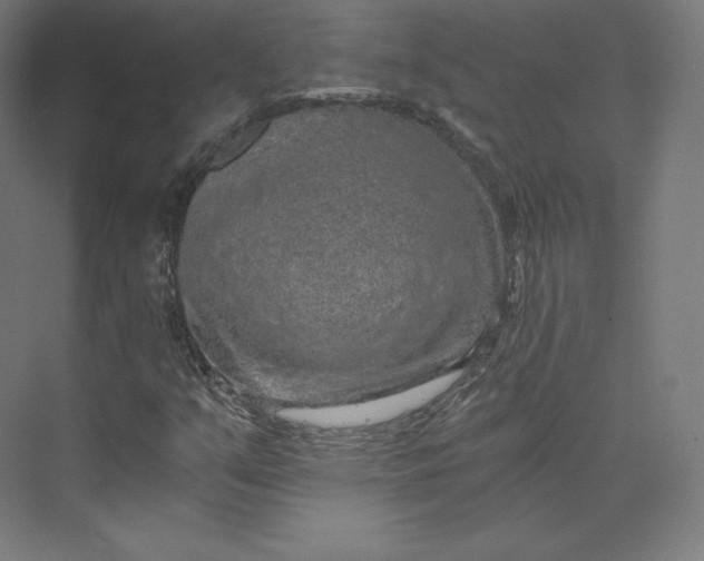 X0000074001351200609061013