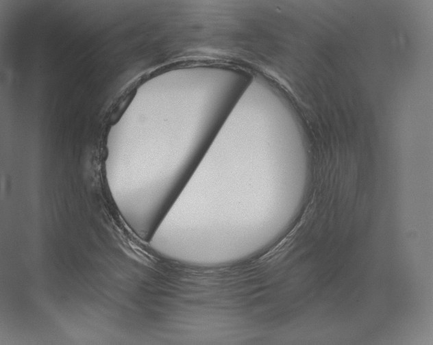 X0000074001355200609061013