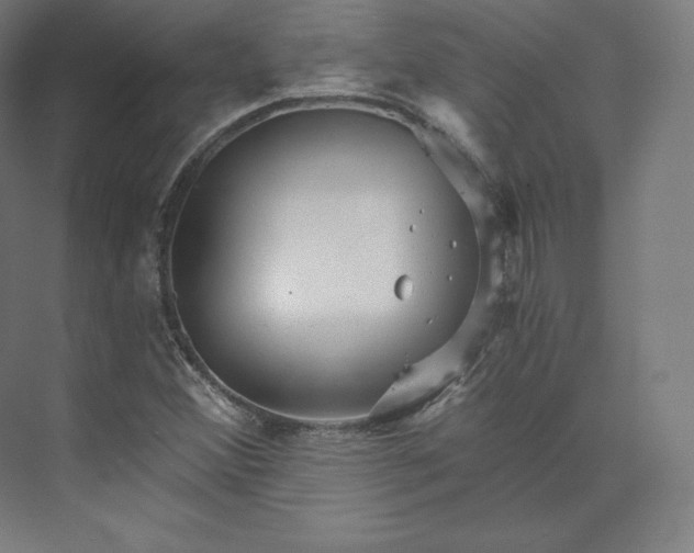 X0000074001356200609061013