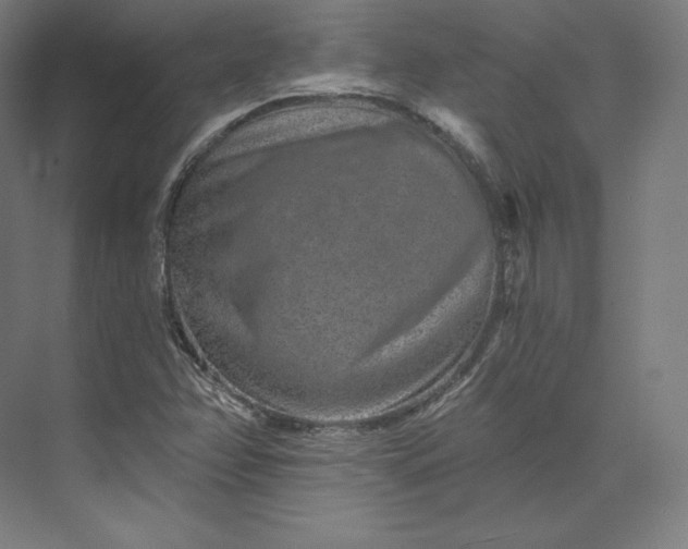 X0000074001358200609061013