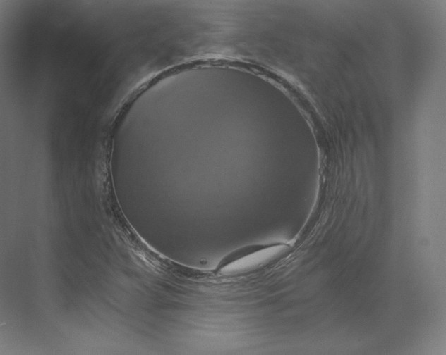 X0000074001359200609061013