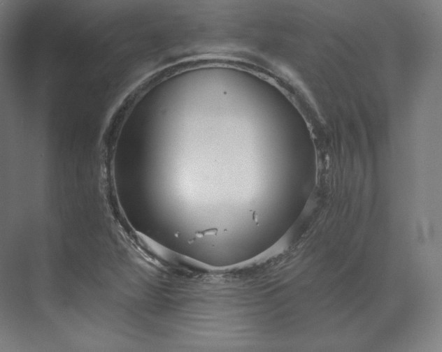 X0000074001360200609061013