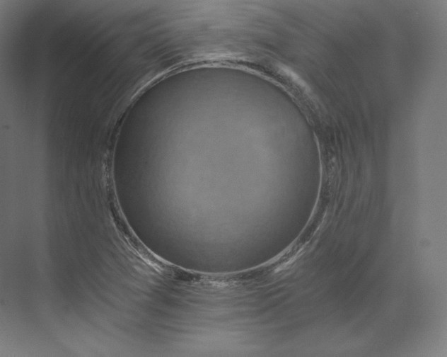 X0000074001361200609061013