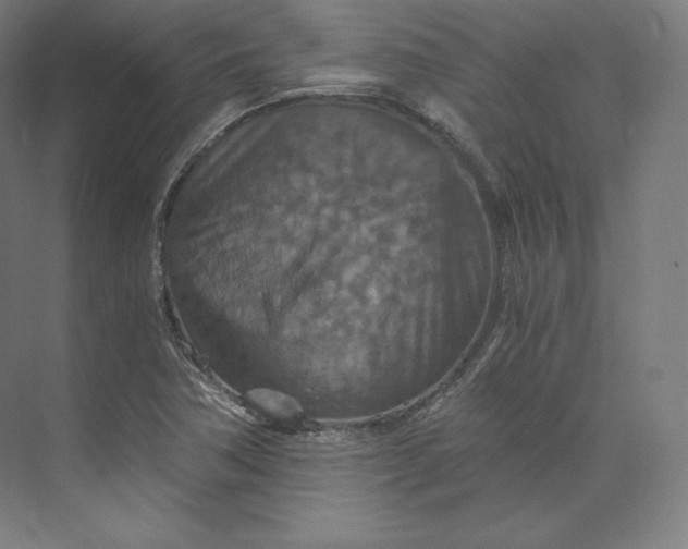 X0000074001362200609061013