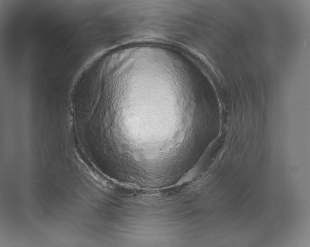 X0000074001363200609061013