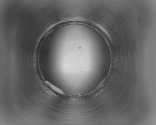 X0000074001364200609061013