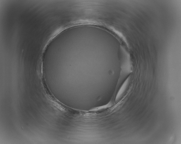 X0000074001365200609061013