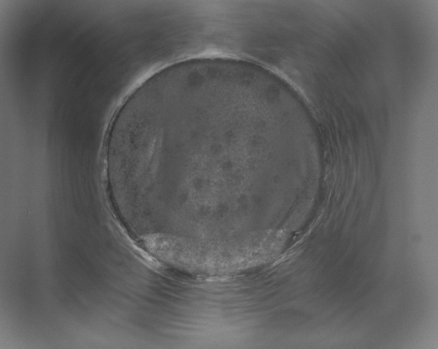 X0000074001367200609061012