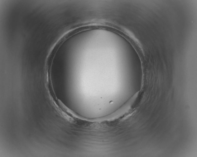 X0000074001368200609061012