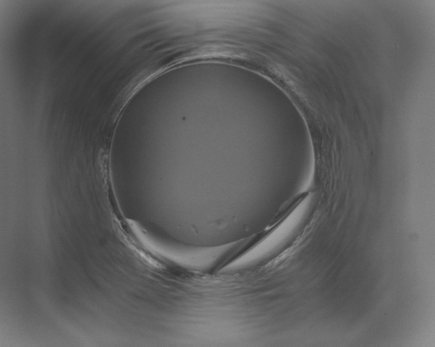 X0000074001369200609061012