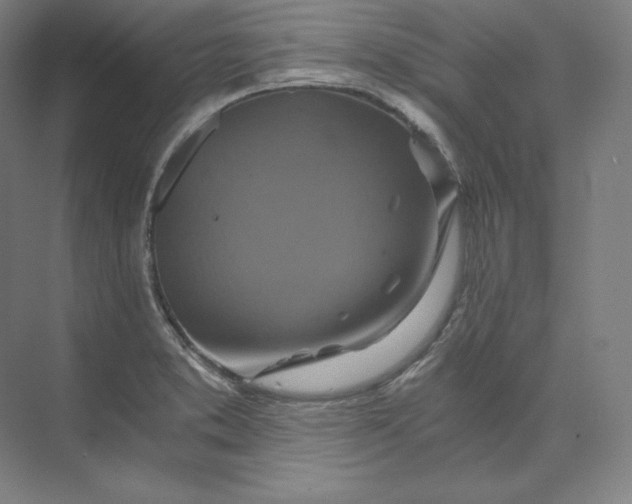 X0000074001373200609061012