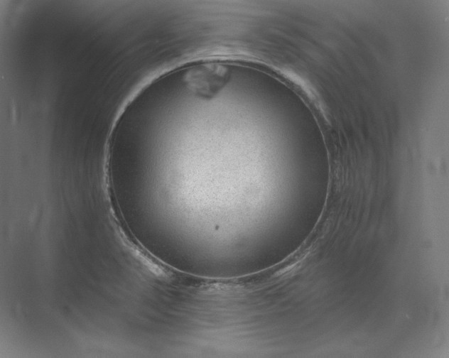 X0000074001374200609061012