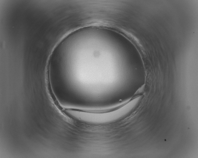 X0000074001375200609061012