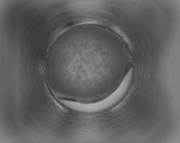 X0000074001377200609061012