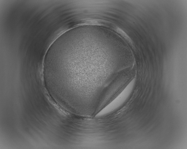 X0000074001378200609061012