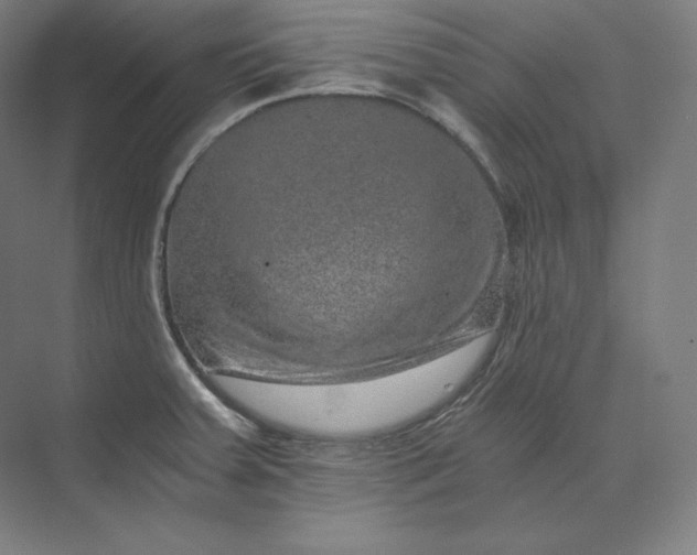 X0000074001379200609061012