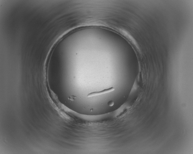 X0000074001380200609061012