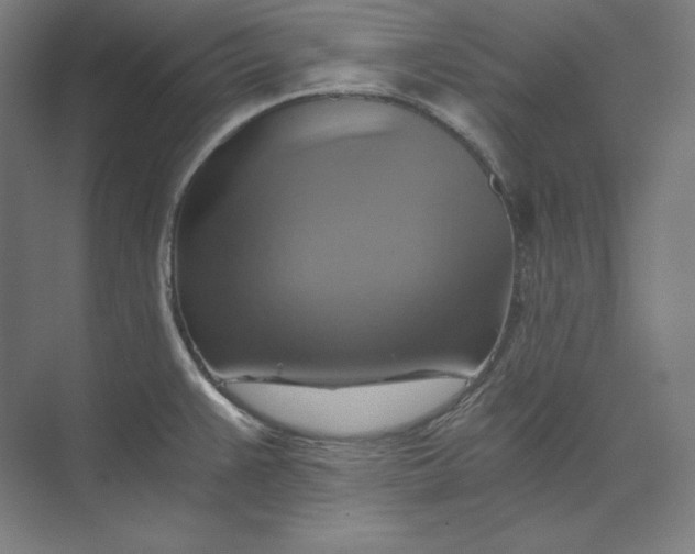 X0000074001383200609061012