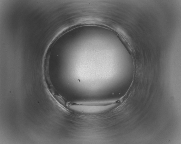 X0000074001384200609061012