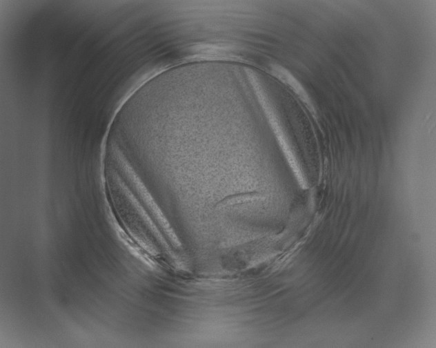 X0000074001386200609061012