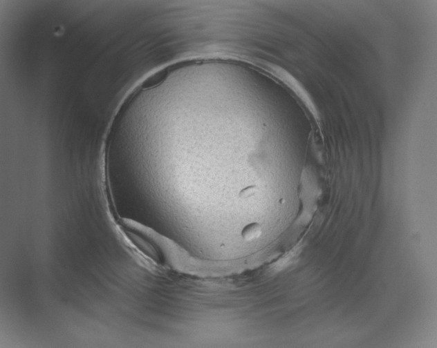 X0000074001388200609061012