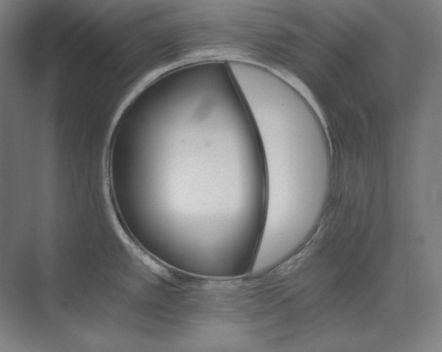 X0000074001389200609061012