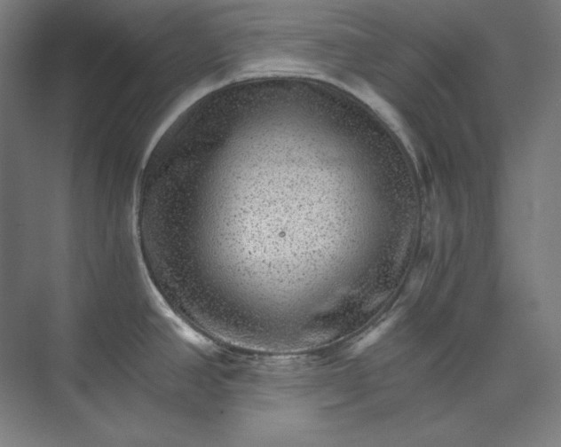 X0000074001390200609061012