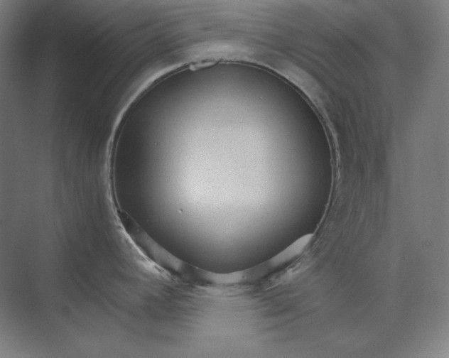 X0000074001392200609061012