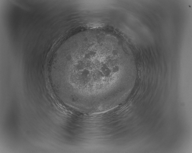 X0000074001393200609061011