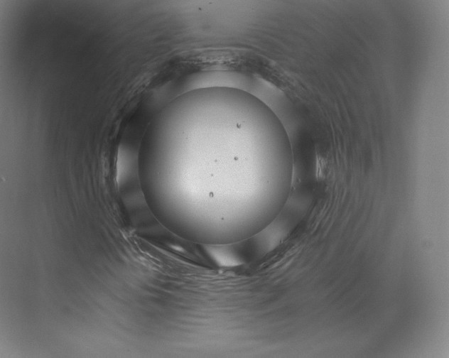 X0000074001394200609061011