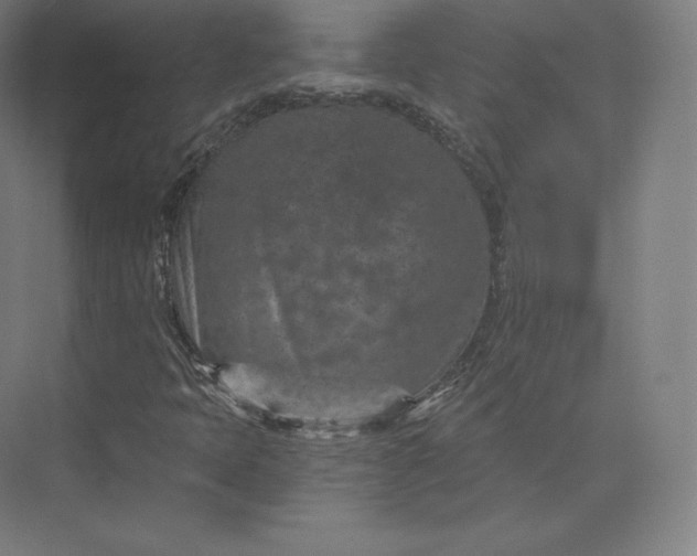 X0000074001397200609061011