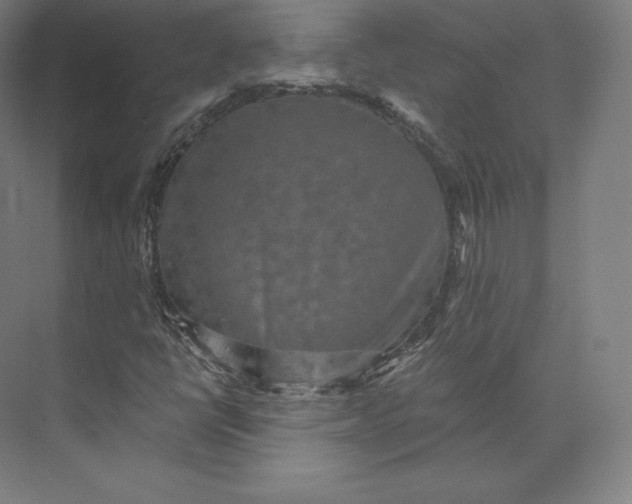 X0000074001398200609061011