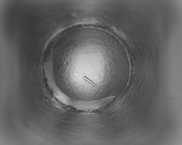 X0000074001400200609061011