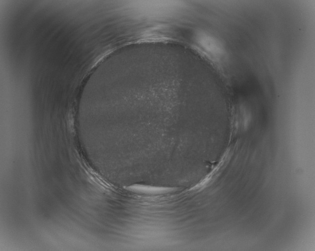 X0000074001401200609061011