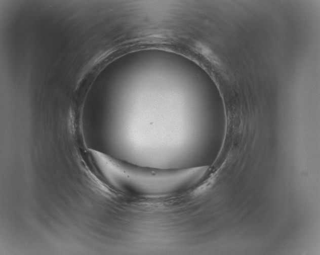 X0000074001402200609061011