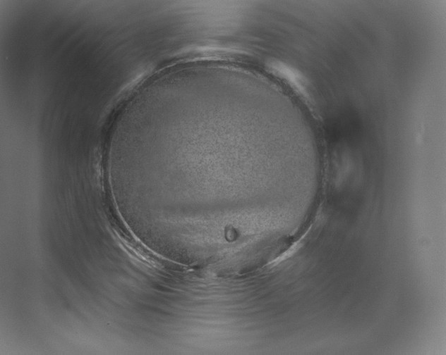 X0000074001403200609061011