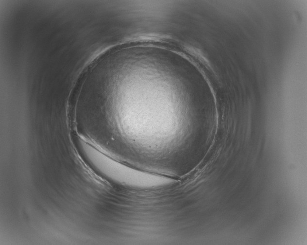 X0000074001404200609061011