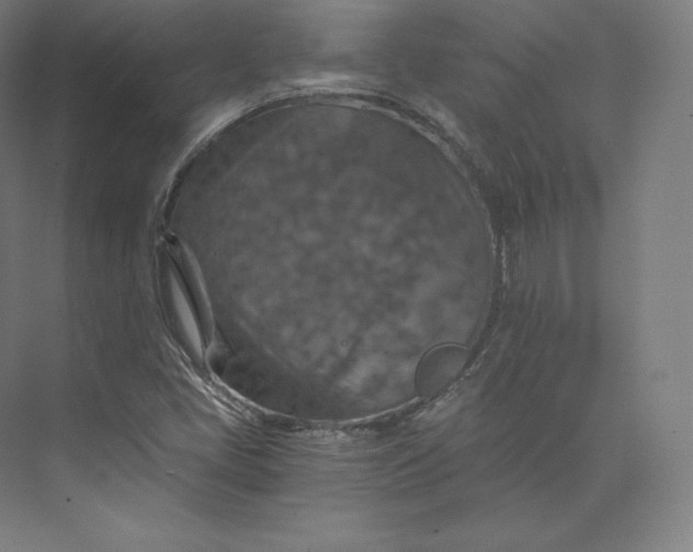 X0000074001405200609061011