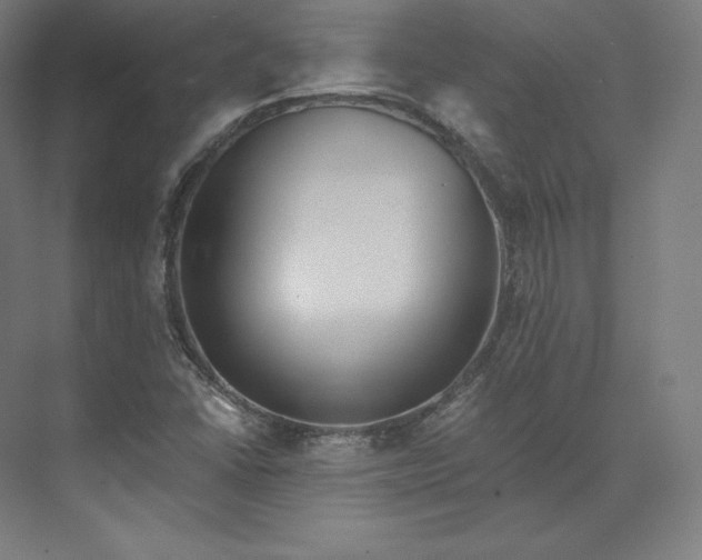 X0000074001406200609061011