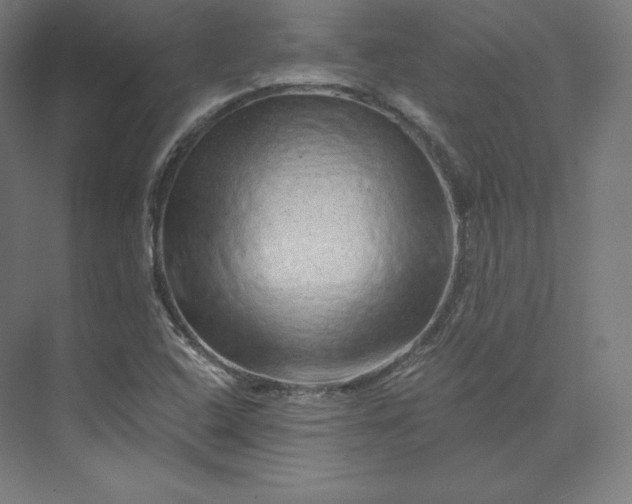 X0000074001408200609061011