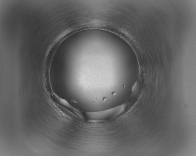 X0000074001410200609061012