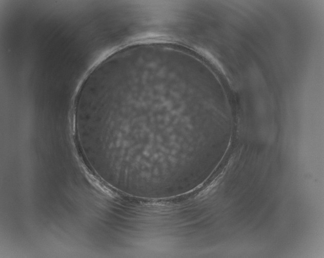 X0000074001413200609061012