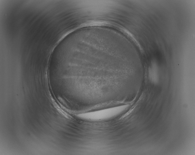 X0000074001417200609061012