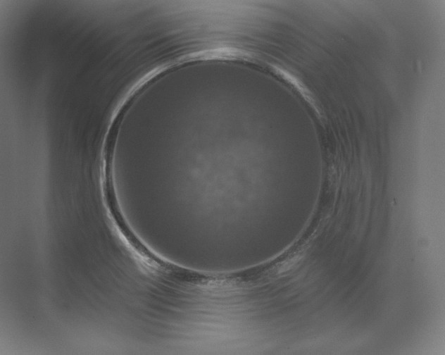 X0000074001418200609061012