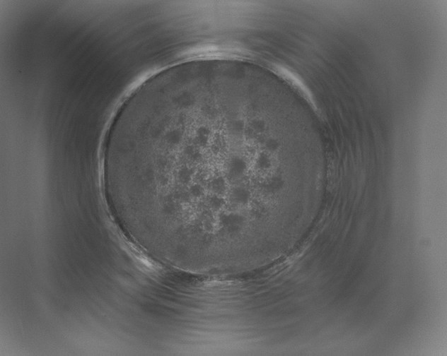 X0000074001419200609061012