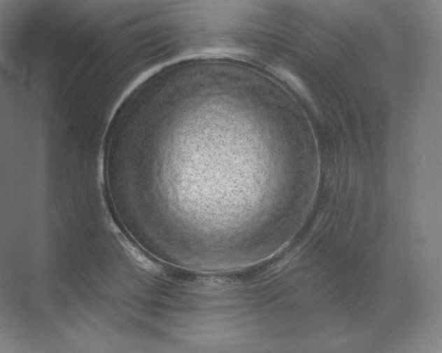 X0000074001420200609061012